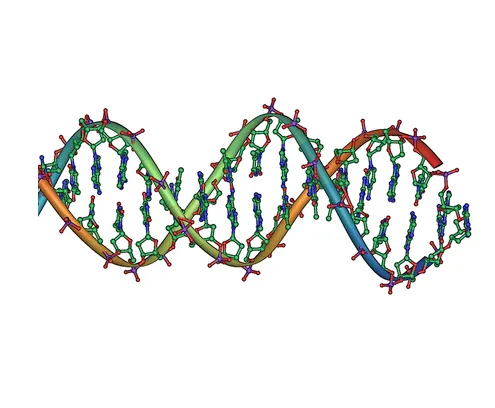 Code Written in DNA: How Synthetic Biology Is Engineering the Living Computer